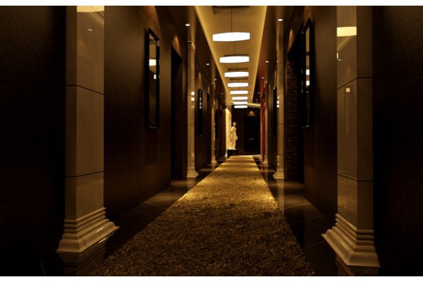 汤逊湖畔荷田大酒店桑拿休闲指南(汤逊湖小田园)